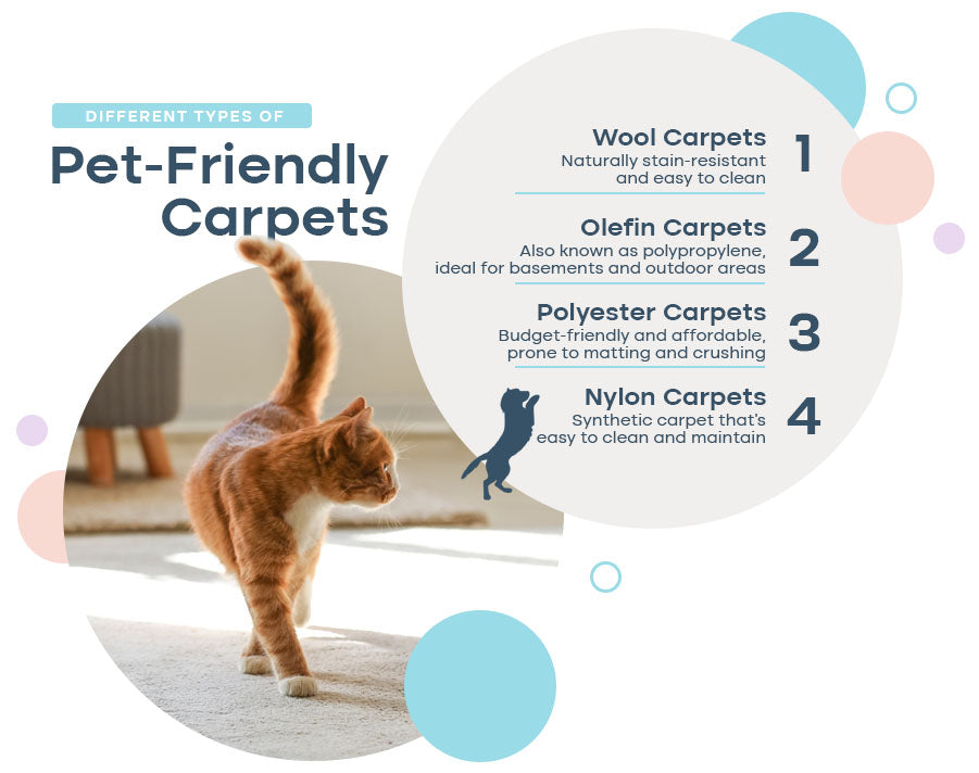 Different Types of Pet-Friendly Carpets