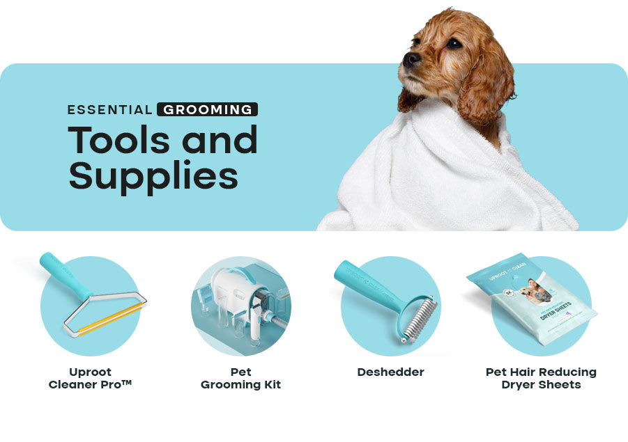 Essential Grooming Tools and Supplies