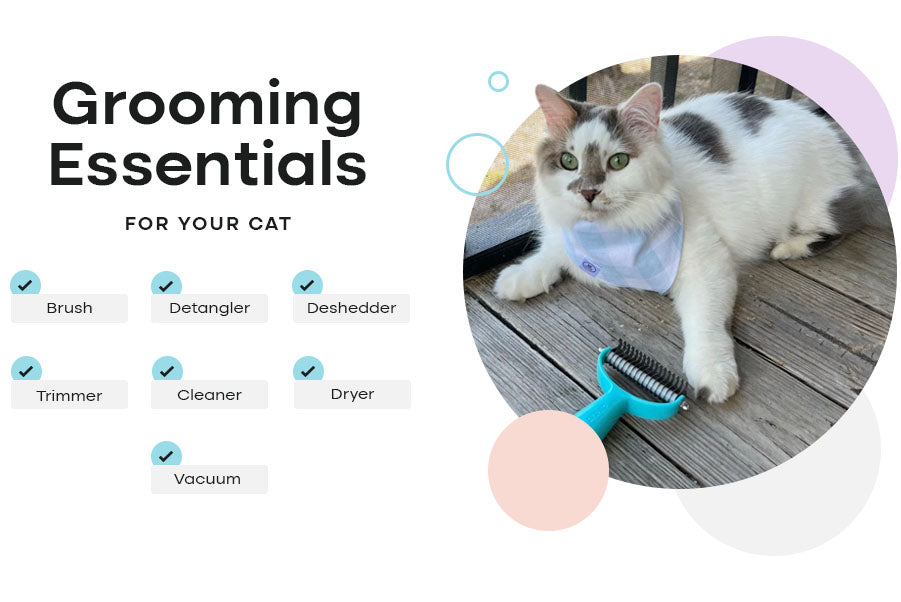 grooming essentials for your cat