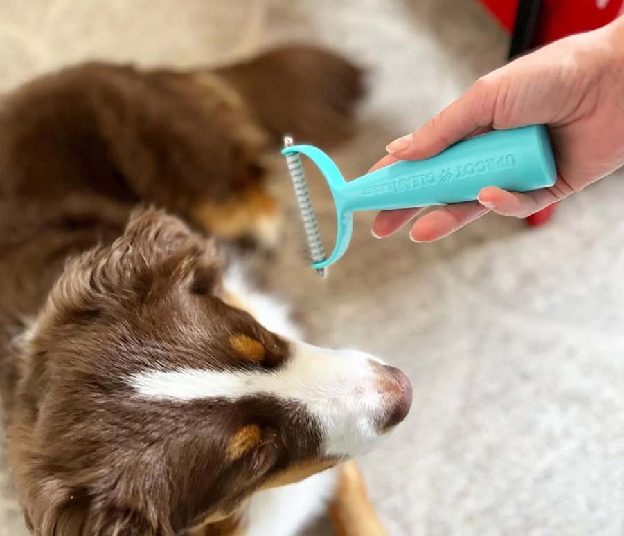 grooming pet uproot clean tool