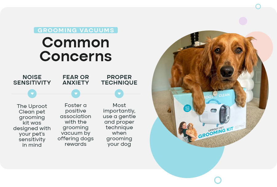 grooming vacuums common concerns