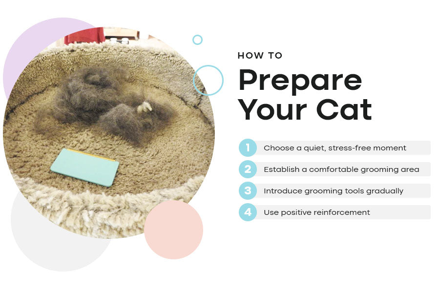 How to Prepare Your Cat for Grooming