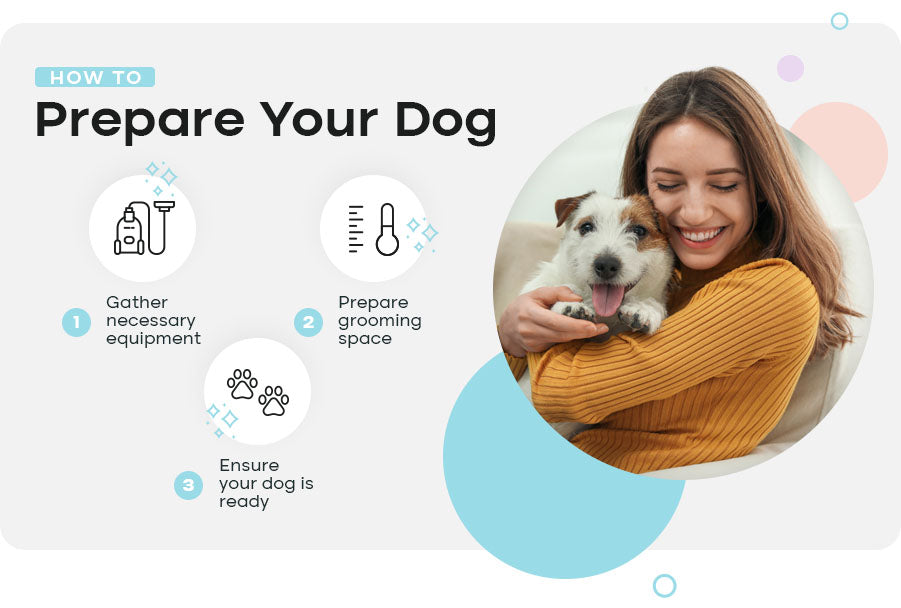 how to prepare your dog