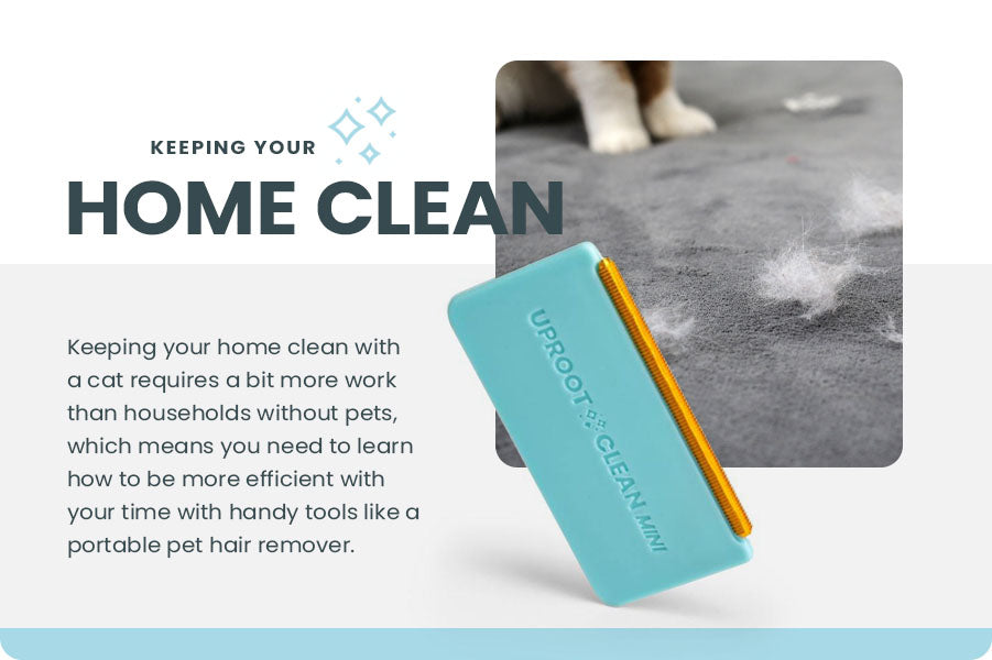keeping your home clean