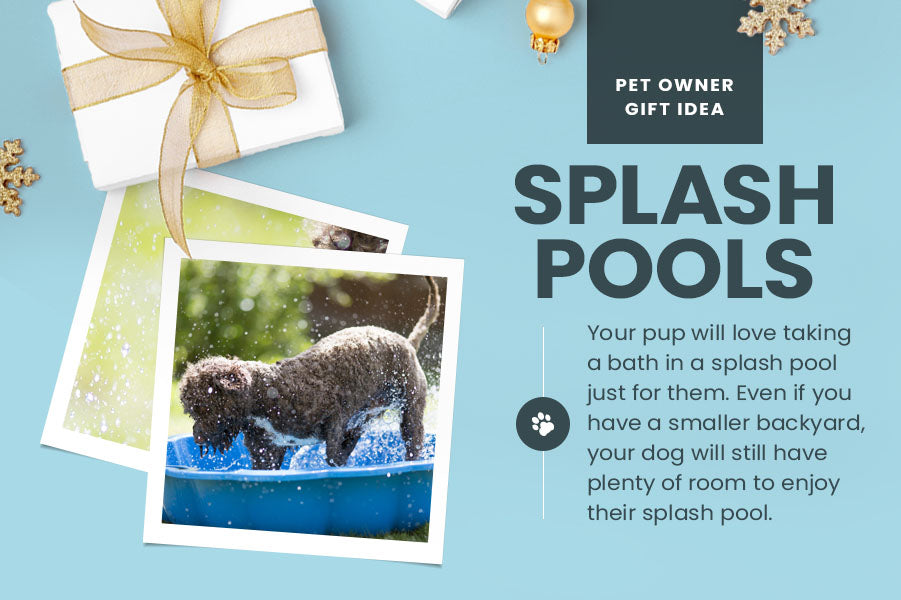 pet owner gift idea splash pool