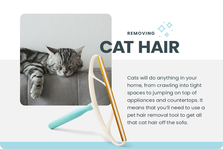 removing cat hair