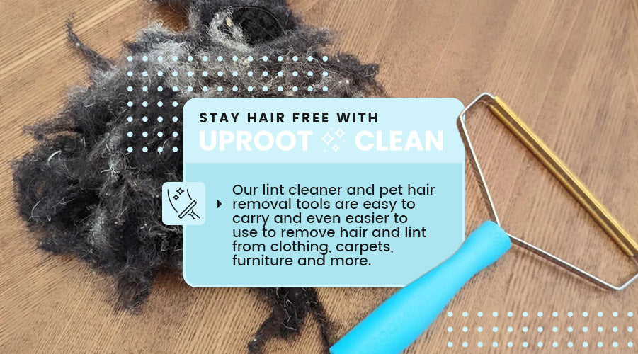 Laundry Tricks to remove pet hair from your clothes