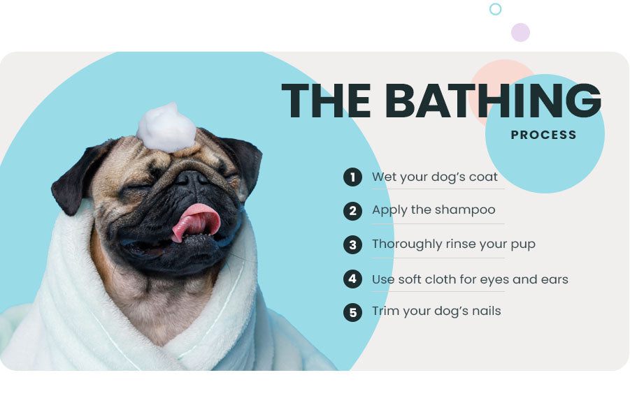 The Bathing Process