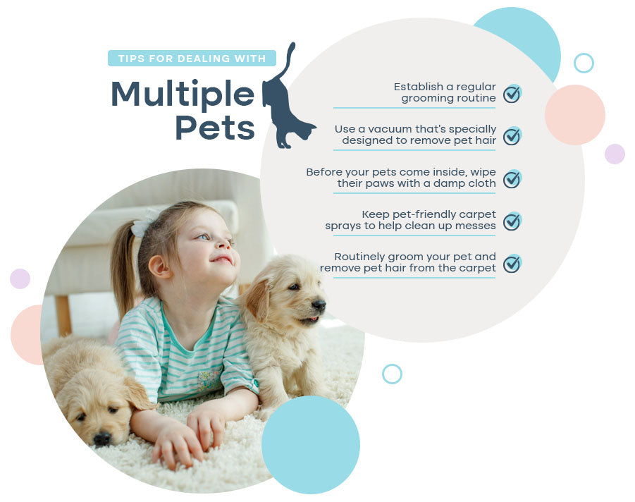 tips for dealing with multiple pets