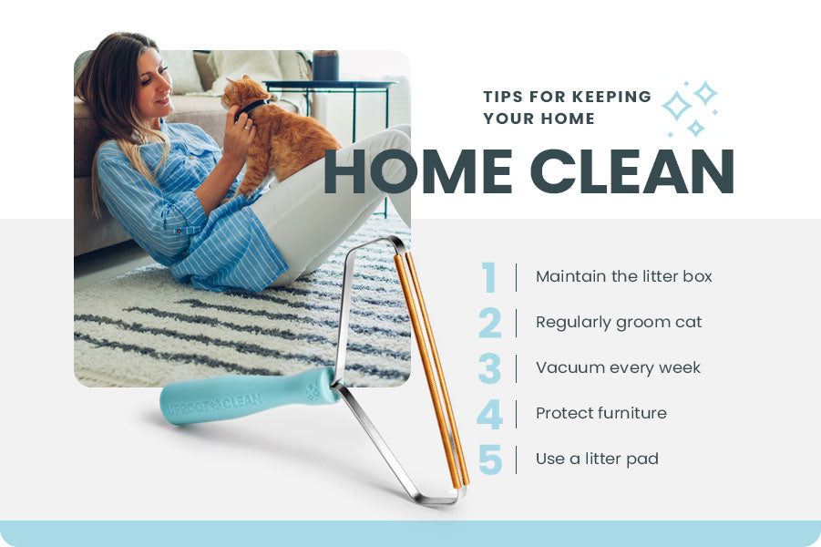 tips for keeping home clean