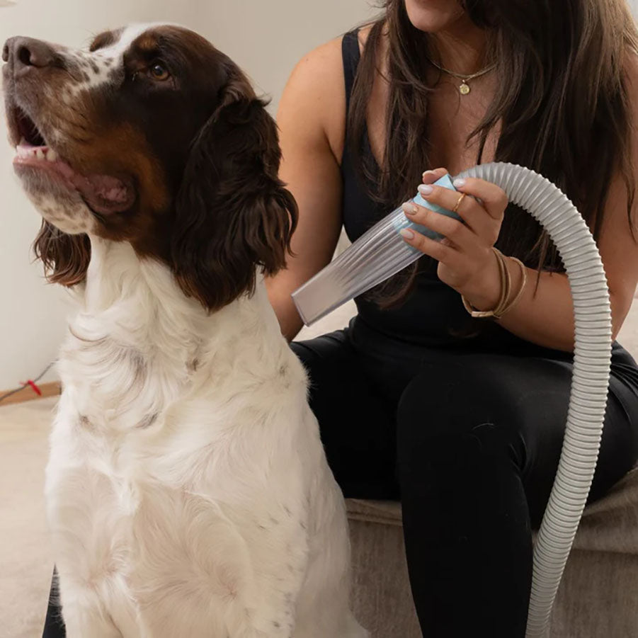 vacuum dogs back pet grooming