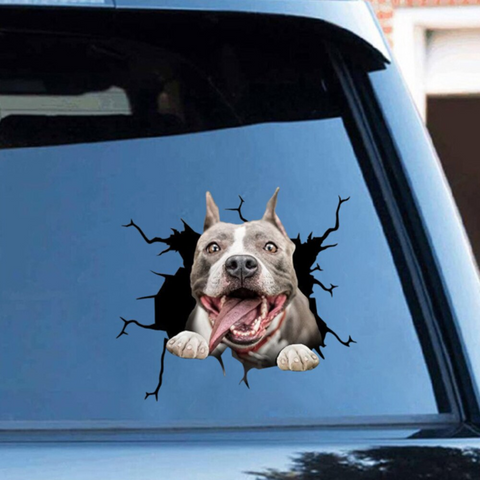3D Hunde Autoaufkleber, Hundeautoaufkleber, Hundeaufkleber Auto, Hund an  Bord –