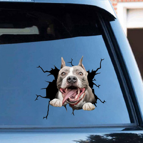 https://cdn.shopify.com/s/files/1/0551/3206/1901/files/2-main-lustige-hund-in-der-riss-vinyl-auto-aufkleber-decals-motorrad-zubehor-auto-fenster-dekorative-waren-pvc-dekorative-2021-neue_480x480.png?v=1640968797