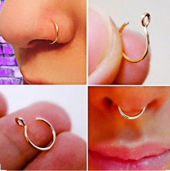 nose rings