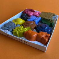 Safari Wax Crayon Letterbox Gift Set