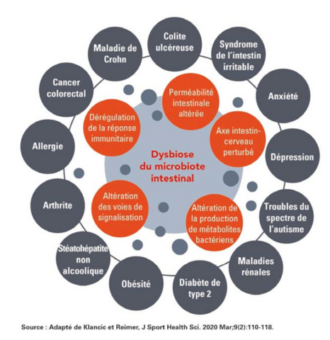 Dysbiose intestinale