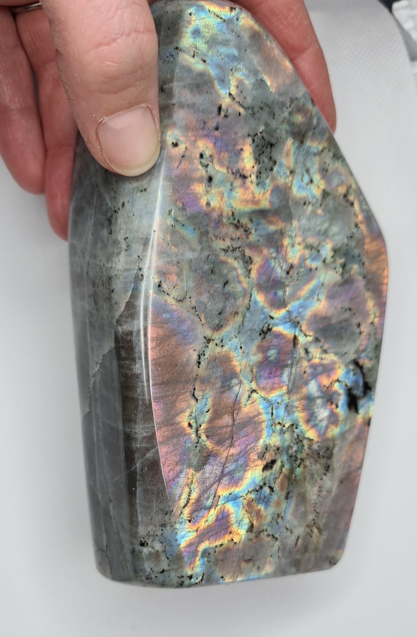 A large Labradorite standing freeform with multi-coloured rainbow flash to both sides
