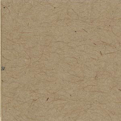 Bazzill Cardstock - Pebble Beach 12x12 (smooth speckled)