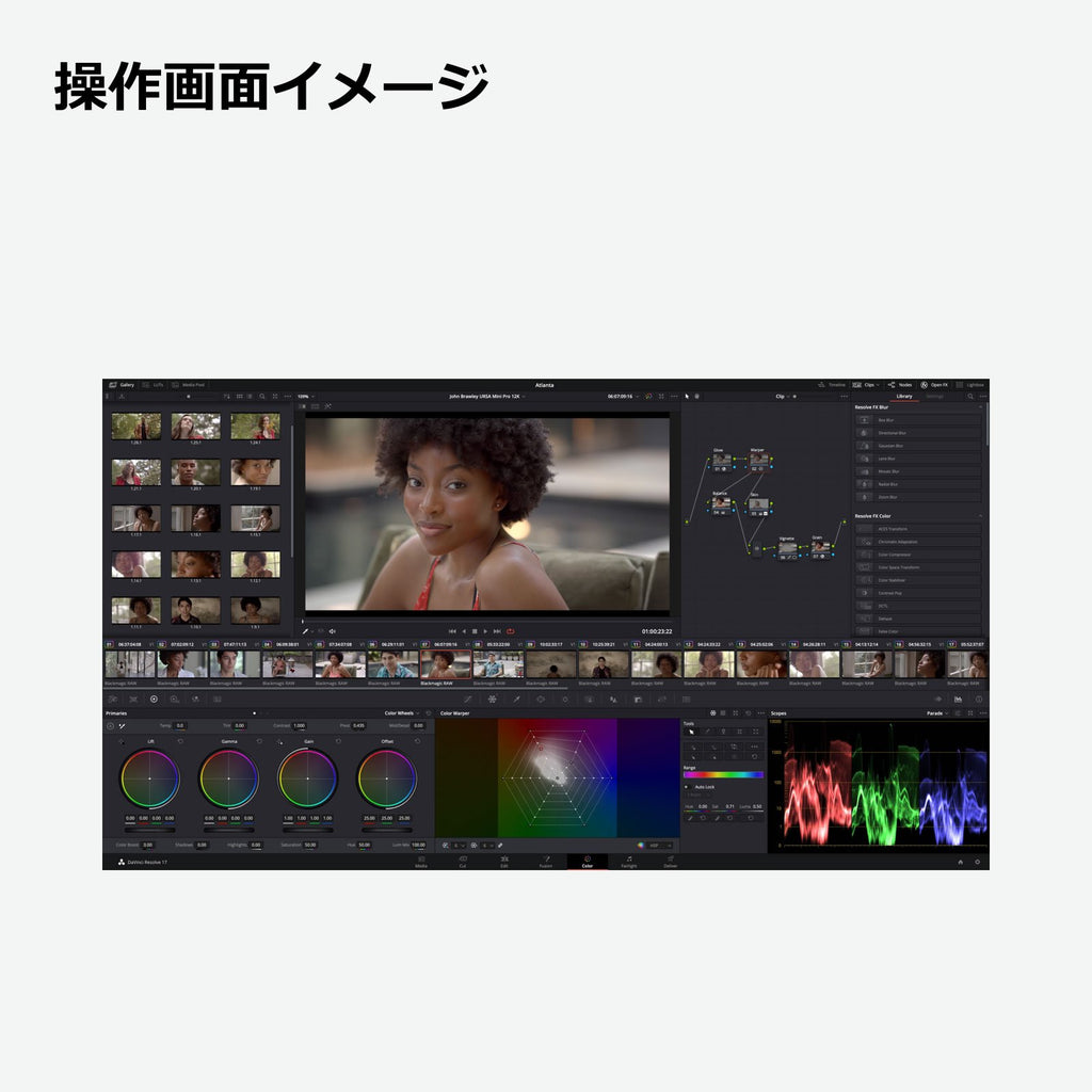 実物 Blackmagic Design DaVinci Resolve Studio ライセンス版