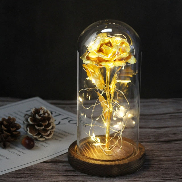 Valentine's Day Beauty And The Beast Rose in LED Glass Dome-
