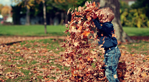Kid playing in autumn leaves