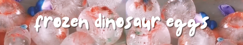 FROZEN DINOSAUR EGGS