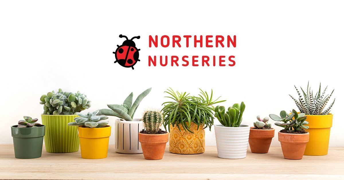 Northern Nurseries