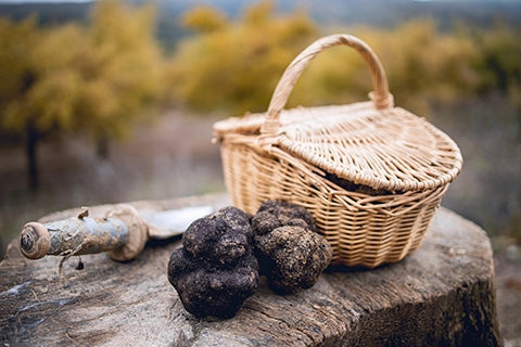 Italian Truffles