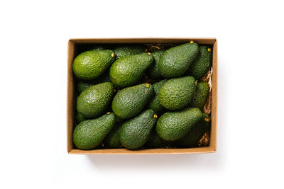 Fresh Large Hass Avocado