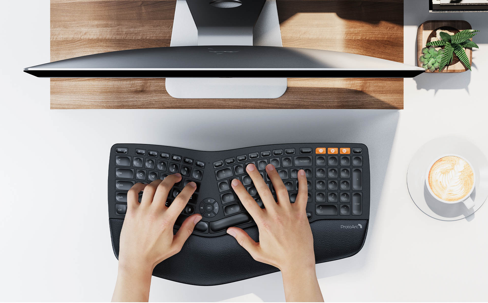 Scientific-Based Ergonomic Design