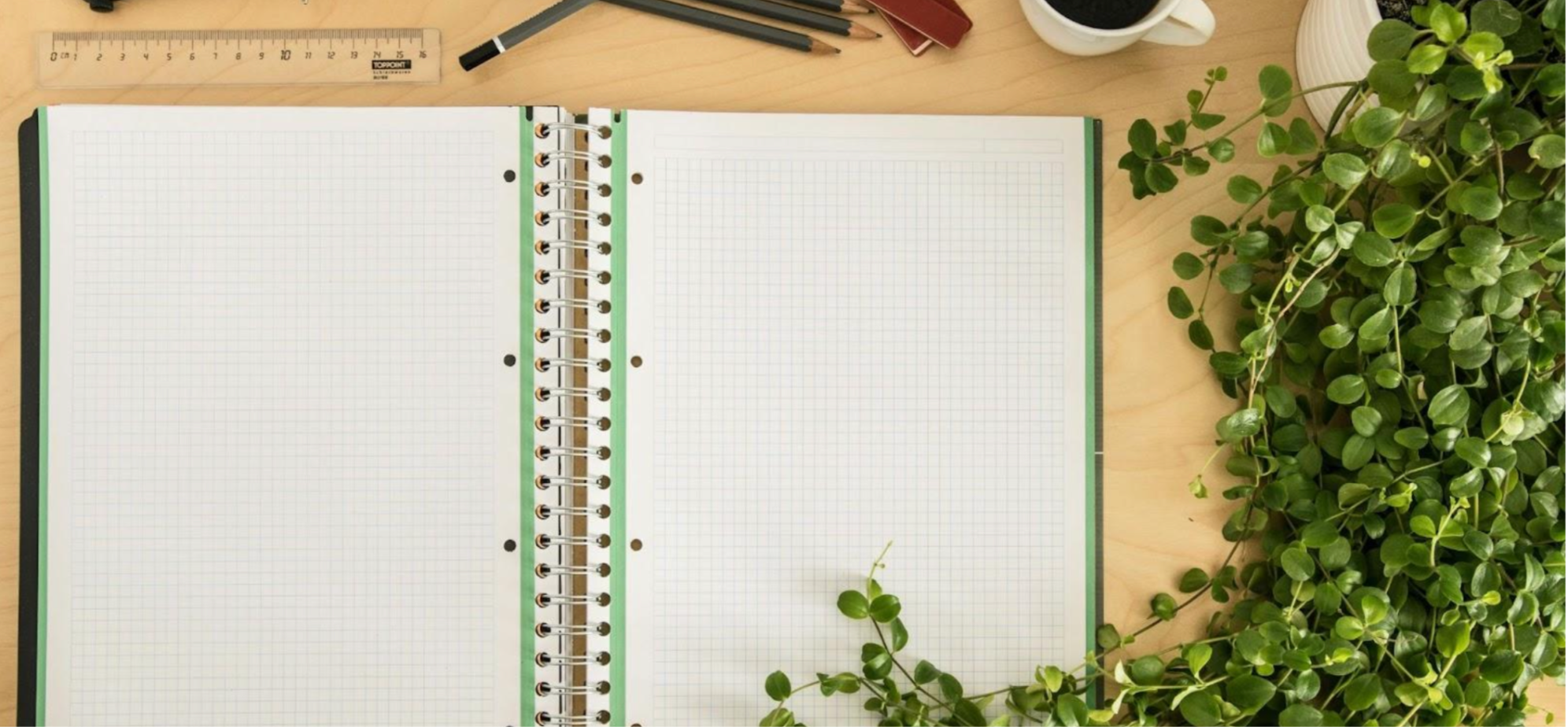 Gridded notebook with a plant