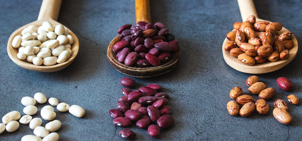 Three spoons with different beans and legumes for vegan collagen foods.