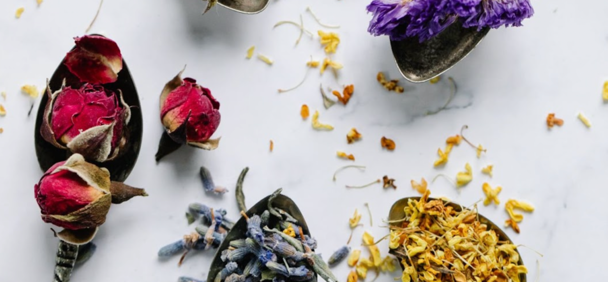 Dried herbs and flowers