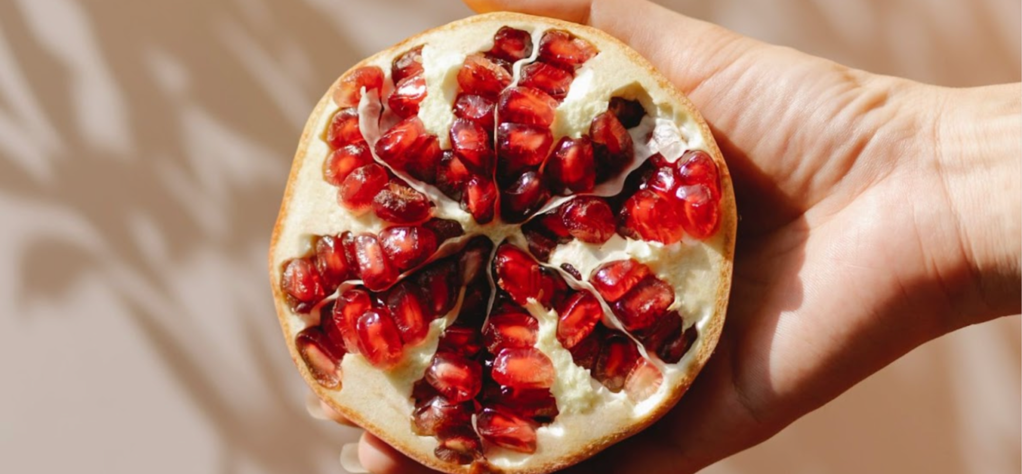 Close-up of woman’s hand holding half a pomegranate