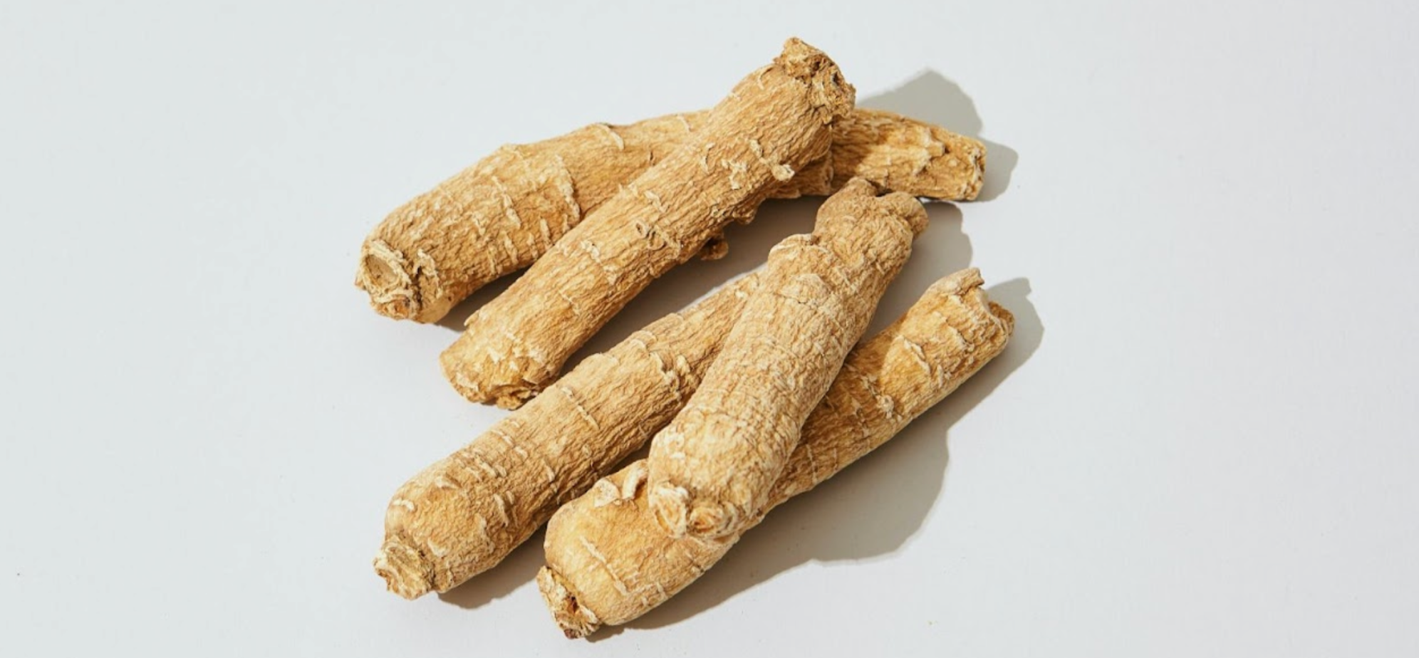 Dried ginseng root