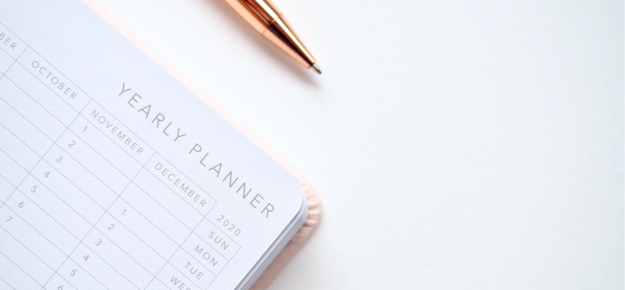 Yearly diary planner and pen