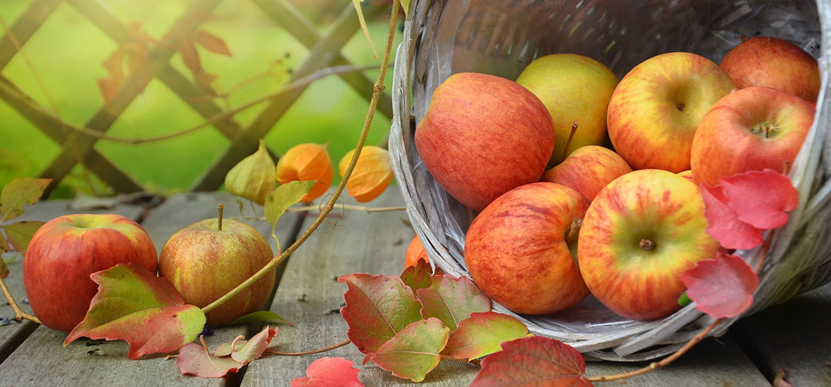 Autumn apples in a basket.