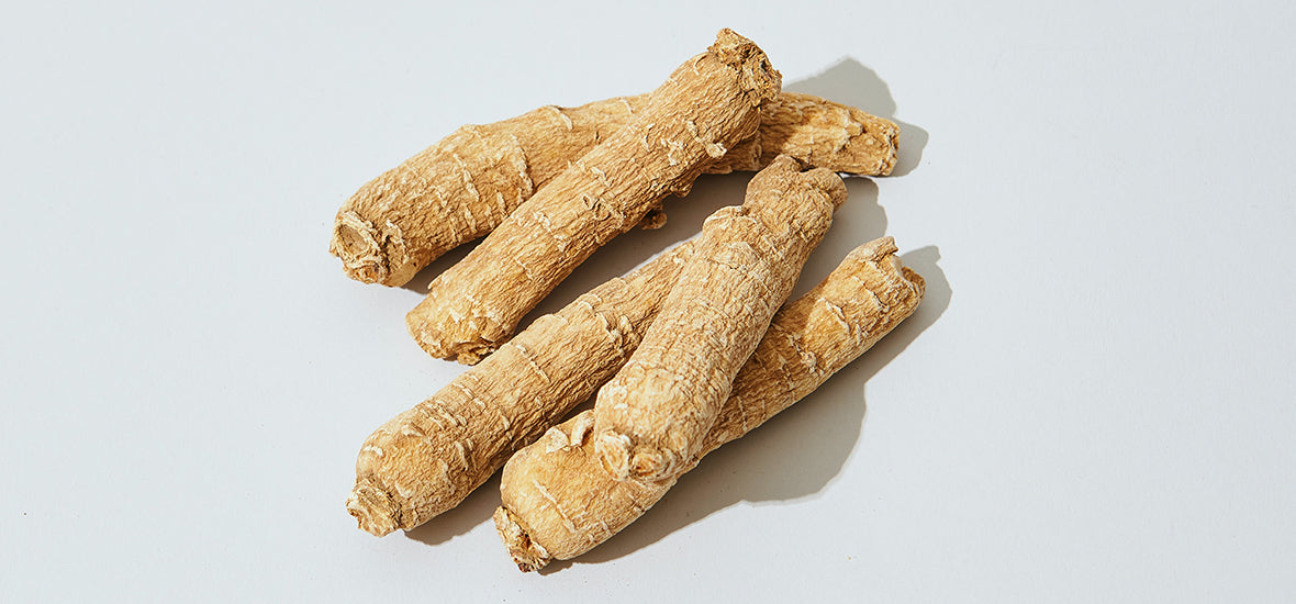 Ginseng for skin roots on a plain background.