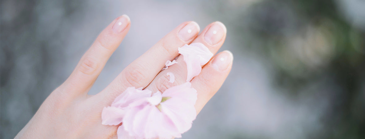 Collagen: Pale pink flower on the back of a woman’s hand with manicured nails.