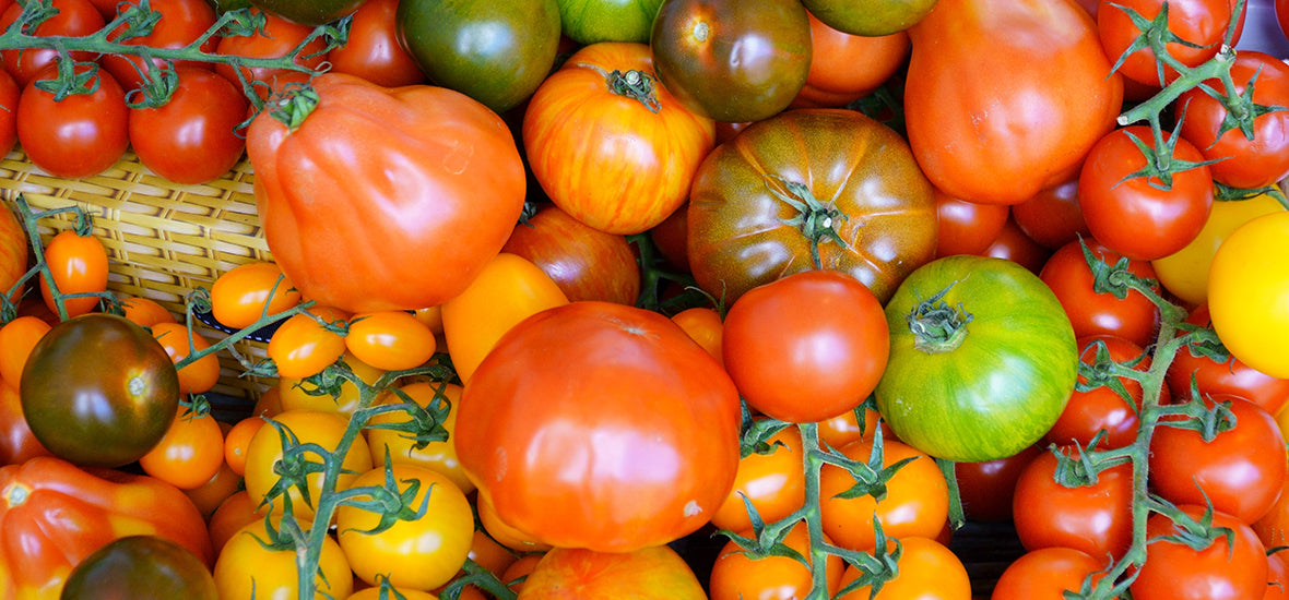 Mixed-coloured tomatoes for an autumn superfood.