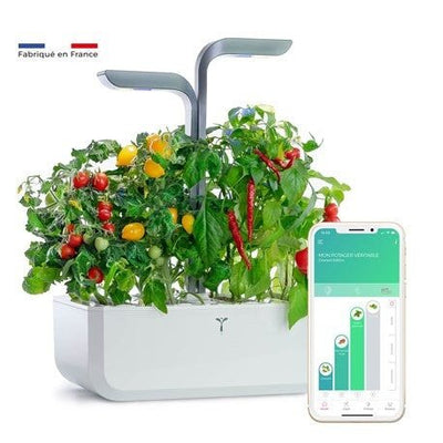 Potager Véritable® SMART Copper