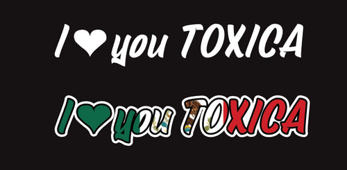 Tengo Novio Toxico Decal Car Window Laptop Vinyl Sticker Toxic