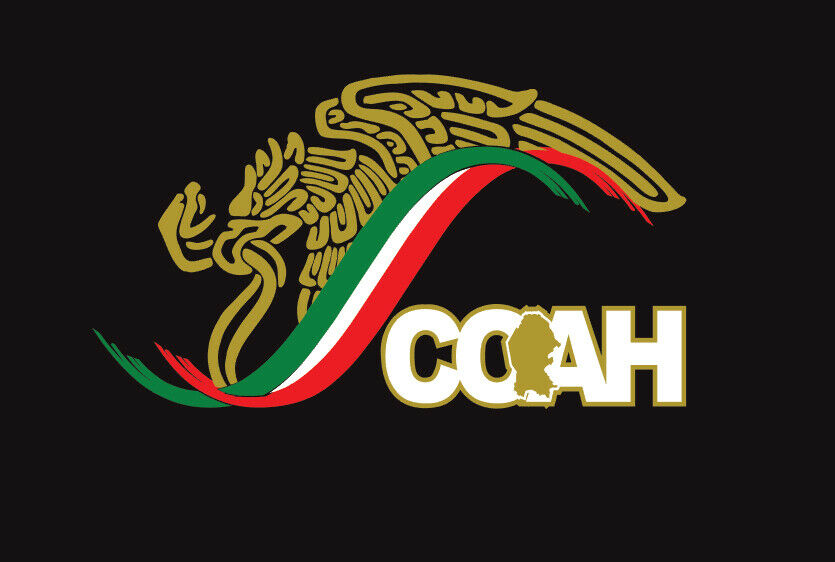 Mexico Eagle Coahuila Sticker | Car window vinyl sticker decal Gobiern – X  Graphics Print