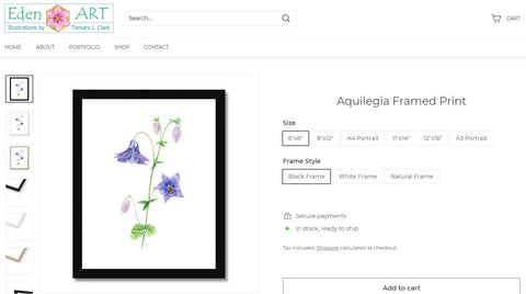 Go to Shop page for Aquilegia/ Columbine illustration by Tamara Clark