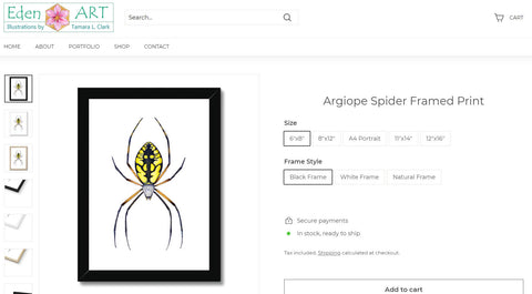 Go to Shop page for Argiope Spider (Argiope aurantia) illustration by Tamara Clark, Eden Art