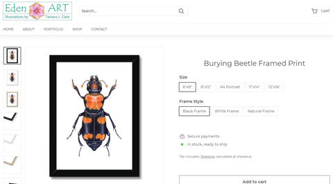 Go to Shop page for Burying Beetle illustration by Tamara Clark, Eden Art