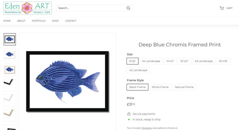 Go to Shop page for Chromis illustration by Tamara Clark
