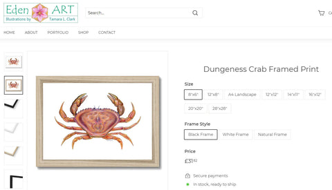 Go to Shop for Dungeness Crab illustration by Tamara Clark