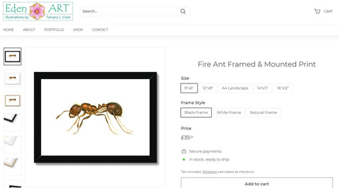 Go to Shop page for Fire Ant illustration by Tamara Clark, Eden Art