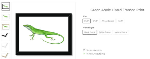 Green Anole Lizard prints and products: Illustration by Tamara Clark